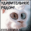 Аватар для Кис@